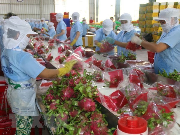 Valor de exportaciones de la provincia de Tien Giang aumentó 18,5 % en el primer semestre ảnh 1 Valor de exportaciones de la provincia de Tien Giang aumentó 18,5 % en el primer semestre ảnh 1