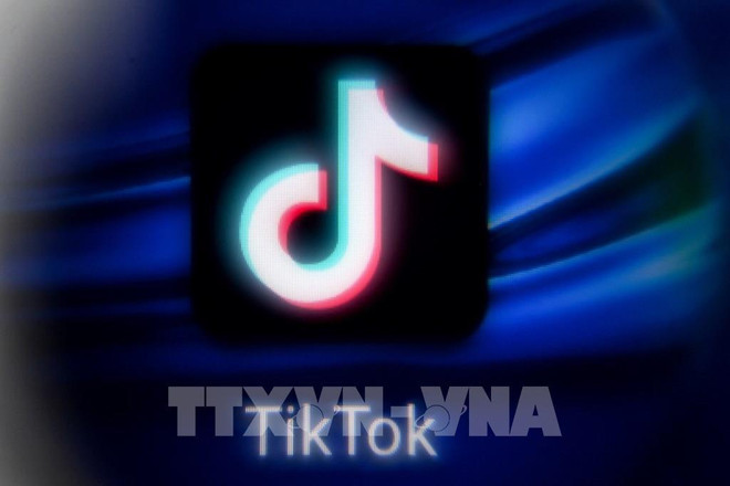 Eliminan 2,4 millones de videos de TikTok de usuarios vietnamitas con contenidos inapropiados ảnh 1 Eliminan 2,4 millones de videos de TikTok de usuarios vietnamitas con contenidos inapropiados ảnh 1