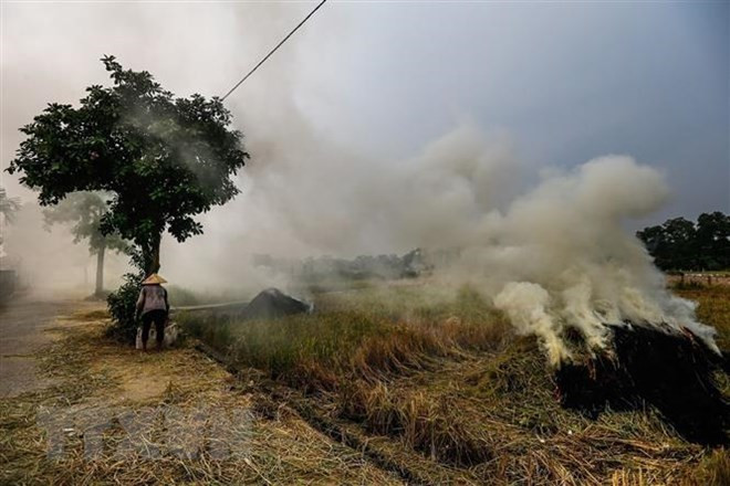 ONU elogia esfuerzos de Vietnam en respuesta al cambio climático ảnh 2 ONU elogia esfuerzos de Vietnam en respuesta al cambio climático ảnh 2