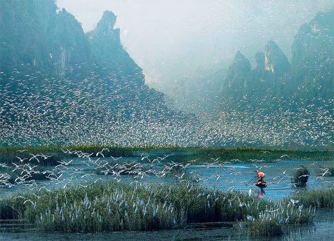 Vietnam gana premios en concurso fotográfico internacional ảnh 1
