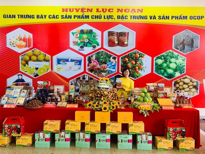 Provincia vietnamita de Bac Giang promueve consumo y exportación de lichi ảnh 1 Provincia vietnamita de Bac Giang promueve consumo y exportación de lichi ảnh 1