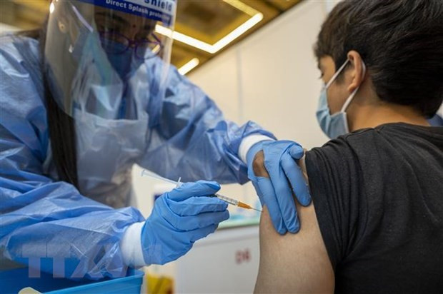 Detectan cinco casos más de variante Omicron BA.5 en Malasia ảnh 1 Detectan cinco casos más de variante Omicron BA.5 en Malasia ảnh 1