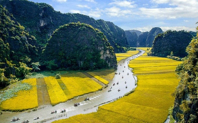 Presentan patrimonios culturales de Vietnam en exposición en Quang Nam ảnh 1  Presentan patrimonios culturales de Vietnam en exposición en Quang Nam ảnh 1