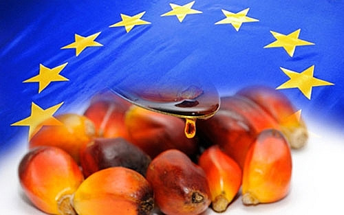 ASEAN y UE promueven cooperación en industria de aceite de palma ảnh 1 ASEAN y UE promueven cooperación en industria de aceite de palma ảnh 1