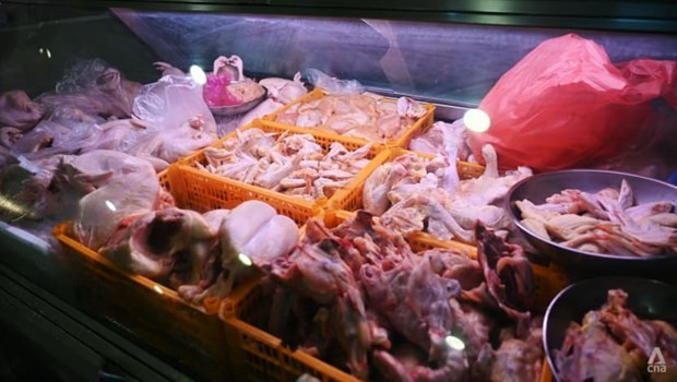 Indonesia pronto exportará pollo a Singapur ảnh 1 Indonesia pronto exportará pollo a Singapur ảnh 1