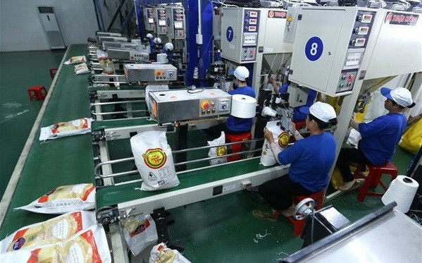 Vietnam impulsa exportación de arroz de alta calidad ảnh 1 Vietnam impulsa exportación de arroz de alta calidad ảnh 1
