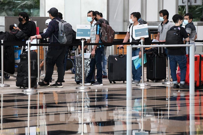 Singapore Airlines probará nuevo pase de viaje digital de COVID-19 ảnh 1