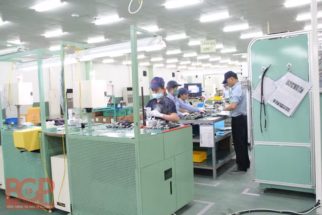Bac Giang impulsará aplicación de biotecnología y materiales avanzados ảnh 1