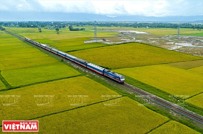 Estudian construcción de ferrocarril Ciudad Ho Chi Minh-Can Tho ảnh 1 Estudian construcción de ferrocarril Ciudad Ho Chi Minh-Can Tho ảnh 1