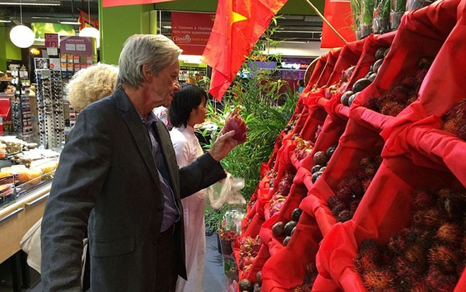 Productos vietnamitas, con gran potencial en mercado francés ảnh 1 Productos vietnamitas, con gran potencial en mercado francés ảnh 1