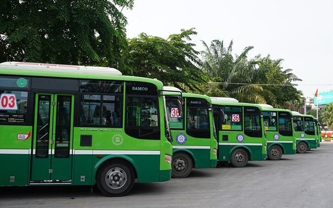 Impulsan aplicación de la red de minibús en Ciudad Ho Chi Minh ảnh 1 Impulsan aplicación de la red de minibús en Ciudad Ho Chi Minh ảnh 1