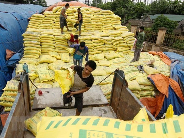 Vietnam decide imponer medidas de autodefensa a fertilizantes importados ảnh 1 Vietnam decide imponer medidas de autodefensa a fertilizantes importados ảnh 1