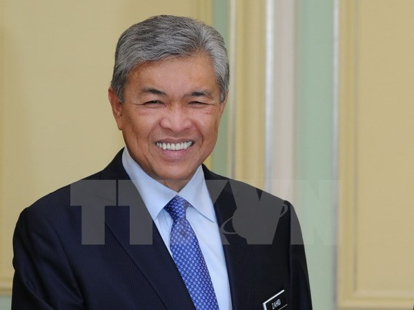 Vicepremier malasio aboga por medidas contra protestas ảnh 1 Vicepremier malasio aboga por medidas contra protestas ảnh 1