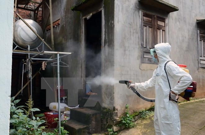 Incrementan casos de dengue en localidades vietnamitas ảnh 1 Incrementan casos de dengue en localidades vietnamitas ảnh 1