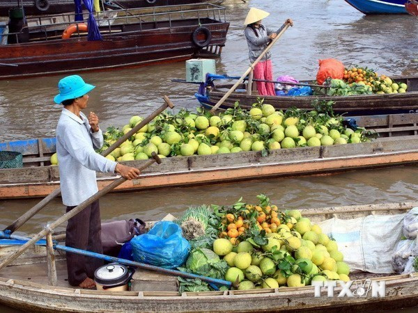 Vietnam aboga por optimizar recursos para el desarrollo del delta de Mekong ảnh 1 Vietnam aboga por optimizar recursos para el desarrollo del delta de Mekong ảnh 1