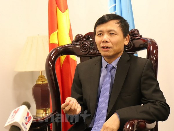 Vietnam es un miembro activo y responsable de las Naciones Unidas, sostiene embajador ảnh 1
