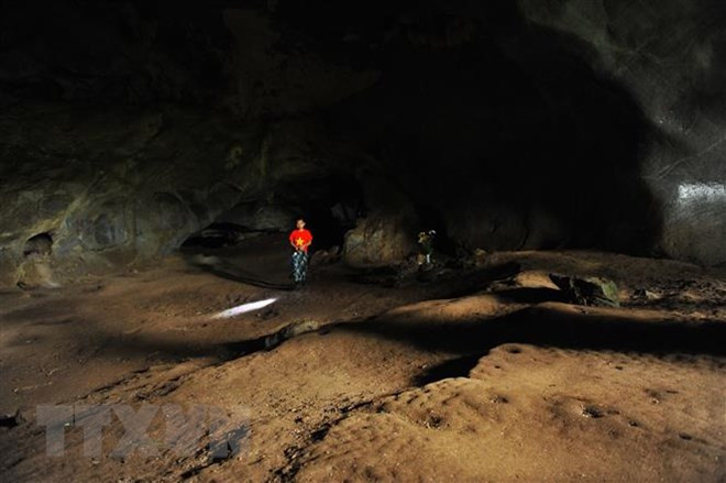 Hallazgo de vestigios prehistóricos en provincia norvietnamita de Tuyen Quang ảnh 1 Hallazgo de vestigios prehistóricos en provincia norvietnamita de Tuyen Quang ảnh 1