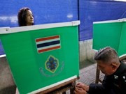 Tailandia anuncia hoja de ruta de las elecciones generales ảnh 1