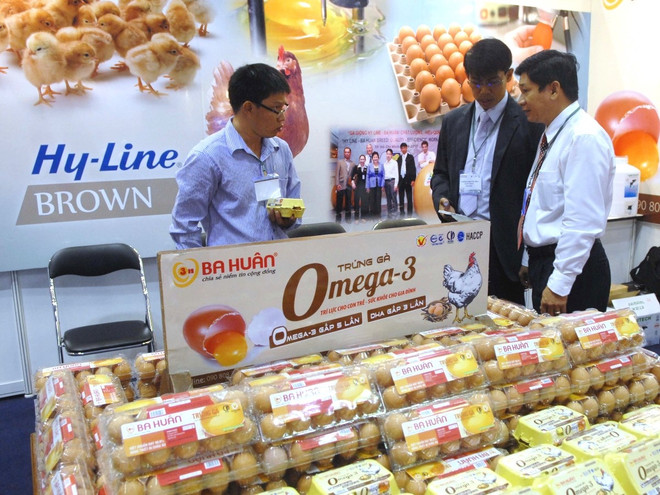 Celebrarán en Vietnam exhibición internacional de ganadería Vietstock -2018 ảnh 1 Celebrarán en Vietnam exhibición internacional de ganadería Vietstock -2018 ảnh 1