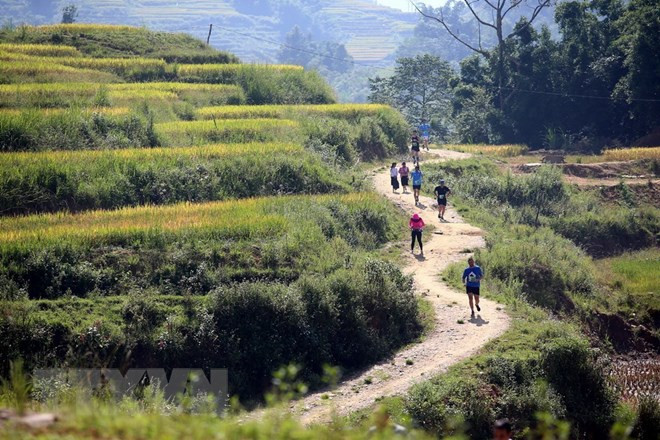 Competencia de maratón en Sapa contribuye a divulgar la belleza de Vietnam ảnh 1