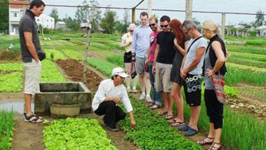 Aldea hortícola Tra Que entre los destinos atractivos de Vietnam ảnh 1 Aldea hortícola Tra Que entre los destinos atractivos de Vietnam ảnh 1