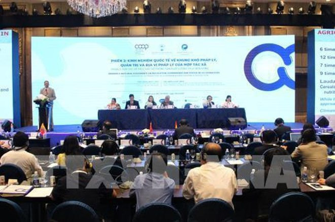 Destacan en Vietnam necesidad de crear un marco legal para el desarrollo de las cooperativas ảnh 1 Destacan en Vietnam necesidad de crear un marco legal para el desarrollo de las cooperativas ảnh 1