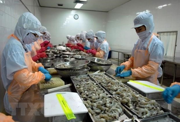 Se mantiene la UE como mayor mercado para la exportación de camarones de Vietnam ảnh 1 Se mantiene la UE como mayor mercado para la exportación de camarones de Vietnam ảnh 1