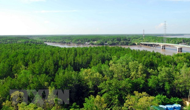 Respalda organización ecologista mundial conservación de la biodiversidad forestal en Vietnam ảnh 1 Respalda organización ecologista mundial conservación de la biodiversidad forestal en Vietnam ảnh 1