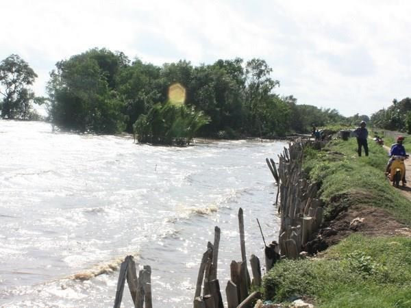 Aplican provincias en Delta del Mekong medidas contra el cambio climático ảnh 1 Aplican provincias en Delta del Mekong medidas contra el cambio climático ảnh 1