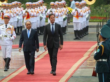 Concluye premier neerlandés su visita oficial a Vietnam ảnh 1 Concluye premier neerlandés su visita oficial a Vietnam ảnh 1