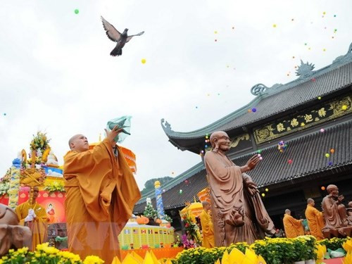 Celebrarán en Vietnam Día de Vesak de Naciones Unidas-2019 ảnh 1 Celebrarán en Vietnam Día de Vesak de Naciones Unidas-2019 ảnh 1