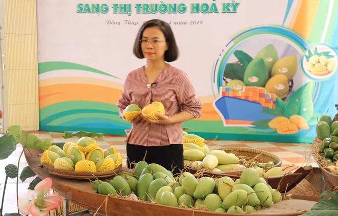 Exporta Vietnam primer lote de mangos a Estados Unidos ảnh 1 Exporta Vietnam primer lote de mangos a Estados Unidos ảnh 1