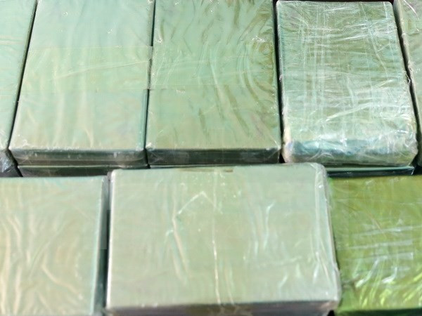 Vietnam acogerá conferencias sobre drogas de ASEAN ảnh 1 Vietnam acogerá conferencias sobre drogas de ASEAN ảnh 1