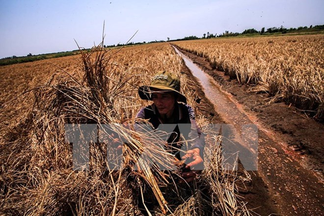 Vietnam y contrapartes de desarrollo dialogan sobre cambio climático ảnh 1 Vietnam y contrapartes de desarrollo dialogan sobre cambio climático ảnh 1