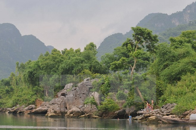 Ubicado Phong Nha-Ke Bang entre los mejores parques sudesteasiáticos ảnh 1 Ubicado Phong Nha-Ke Bang entre los mejores parques sudesteasiáticos ảnh 1