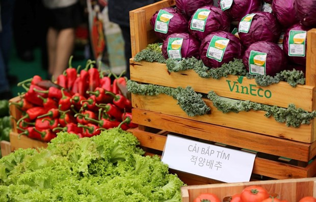 Reduce índice de precios al consumidor de Hanoi en marzo ảnh 1 Reduce índice de precios al consumidor de Hanoi en marzo ảnh 1