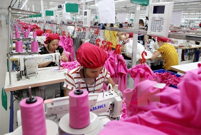 Sector de confección y textil de Vietnam va viento en popa ảnh 1