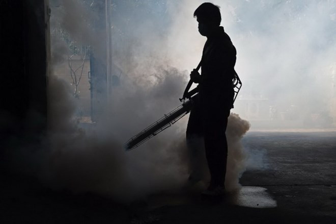 Tailandia aumenta su nivel de alerta por Zika ảnh 1