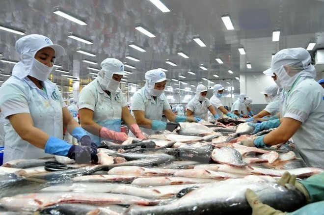 Nuevo reglamento para exportadoras de bagres de Vietnam a EE.UU. ảnh 1 Nuevo reglamento para exportadoras de bagres de Vietnam a EE.UU. ảnh 1