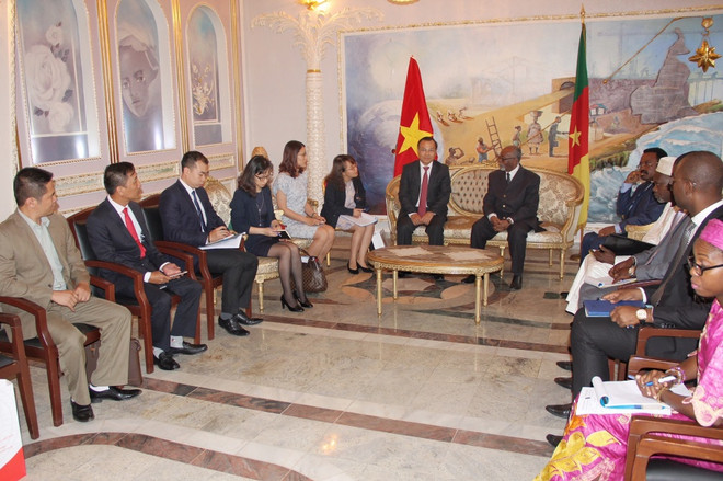 Vietnam y Camerún preparan actividades para aniversario de sus relaciones ảnh 1 Vietnam y Camerún preparan actividades para aniversario de sus relaciones ảnh 1