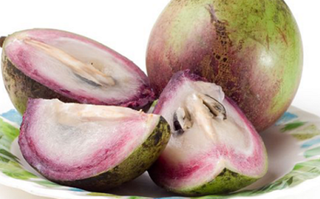 Caimito vietnamita entra al mercado estadounidense ảnh 1