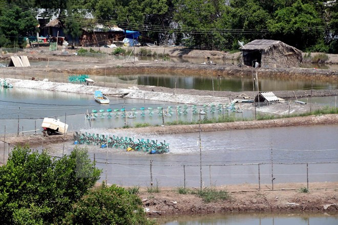 Proyecto de adaptación al cambio climático beneficia a provincia de Ben Tre ảnh 1 Proyecto de adaptación al cambio climático beneficia a provincia de Ben Tre ảnh 1