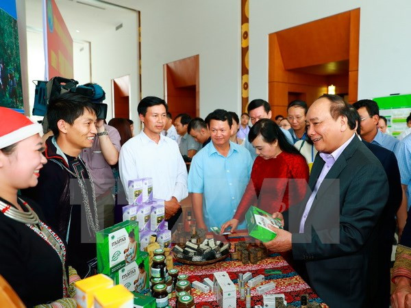 Vietnam estudia medidas para estimular desarrollo de medicina tradicional ảnh 1 Vietnam estudia medidas para estimular desarrollo de medicina tradicional ảnh 1