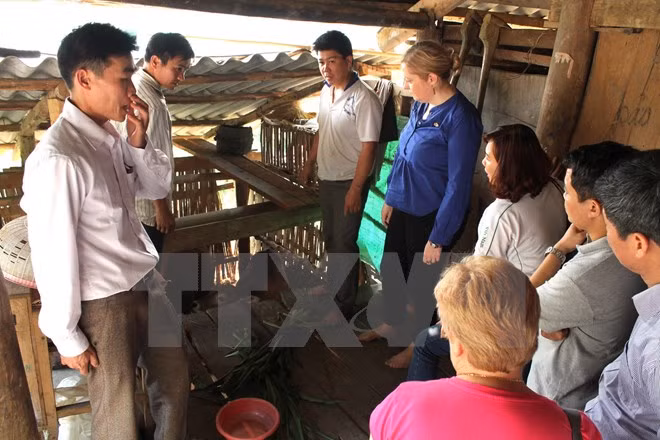 Buen resultado de asistencia irlandesa a provincia montañosa vietnamita ảnh 1