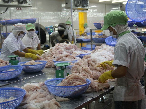 Aparece información desfavorable contra pescado Tra de Vietnam en mercado europeo ảnh 1 Aparece información desfavorable contra pescado Tra de Vietnam en mercado europeo ảnh 1
