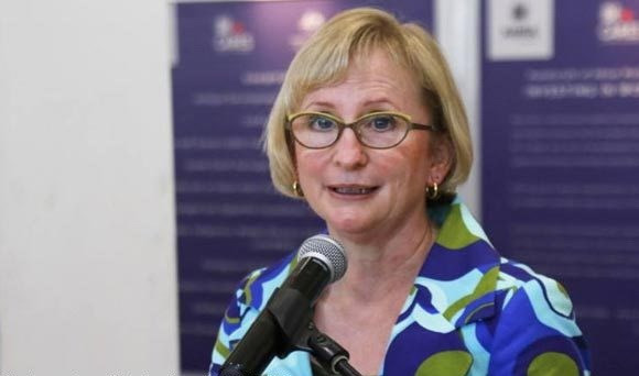 COC debe reforzar el papel central de la ASEAN, sugiere embajadora australiana ảnh 1