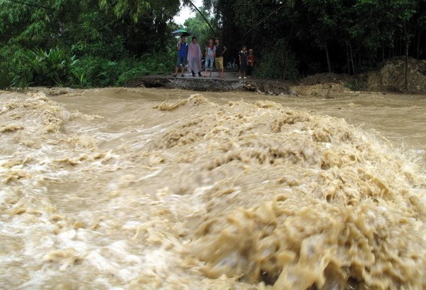 Vietnam sufrirá de dos a tres tifones en el resto de 2018, según pronósticos ảnh 1