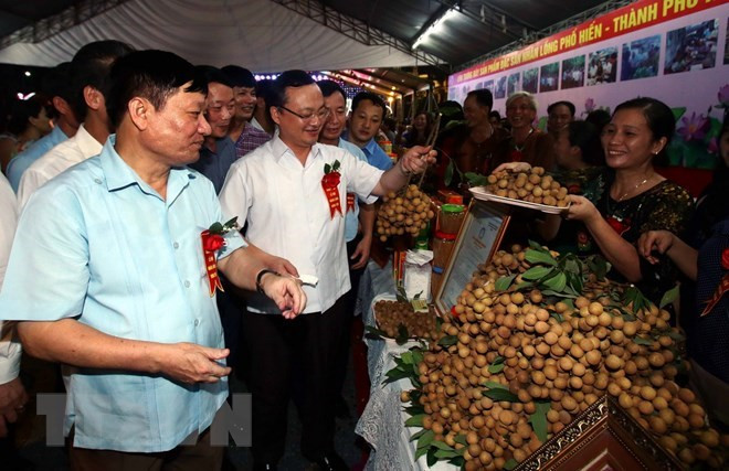 Celebran festival de longan en provincia vietnamita de Hung Yen ảnh 1 Celebran festival de longan en provincia vietnamita de Hung Yen ảnh 1