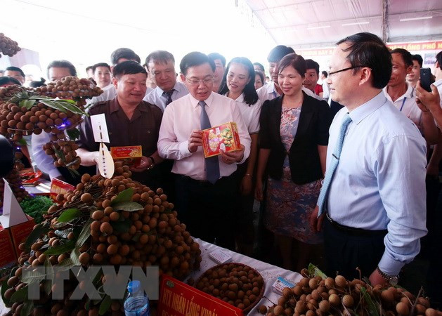 Provincia norvietnamita debe mejorar planificación del cultivo de longán, sostiene Vicepremier ảnh 1