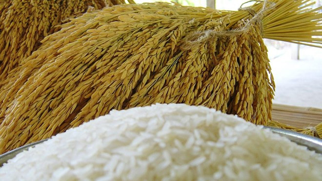 Tailandia se mantiene optimista con sus ventas de arroz al exterior ảnh 1